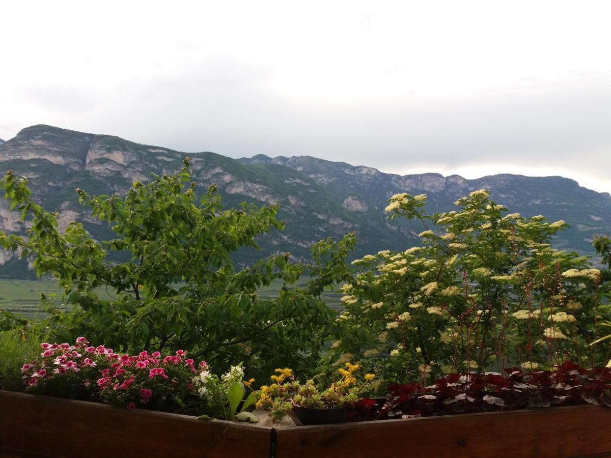 B&B Klammhof Panorama Salorno Exterior foto